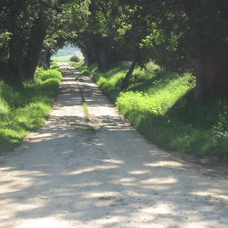 Domaine A Marmande Bed & Breakfast Berdoues ภายนอก รูปภาพ